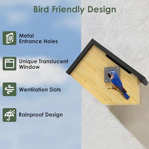 Solar Powered Bird House with HD Camera for Outdoor Viewing J875209