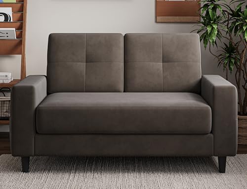 Txtin's Loveseat Sofa 53" Small Couches for Small Spaces 2 Seater Mini Couch for Bedroom Comfy Modern Love Seat for Apartment Office Living Room Brown