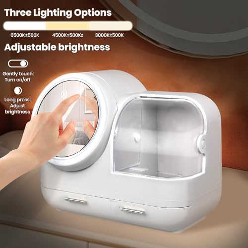 Makeup Organizer with LED Light and Mirror, Desktop Storage Box with Drawers A701