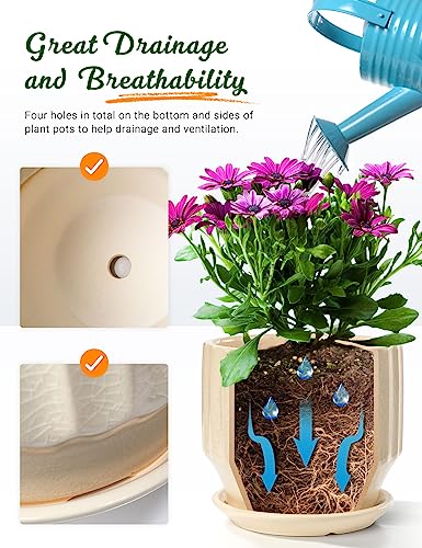 Ceramic Plant Pots 6 inch with Drainage Hole and Saucer, Set of 2, Creamy White K14152