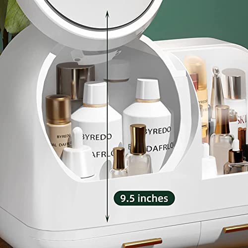 Makeup Organizer with LED Light and Mirror, Desktop Storage Box with Drawers A701