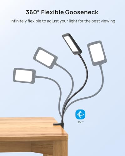 LED Desk Lamp with Clamp, Dimmable, Flexible Gooseneck V37343
