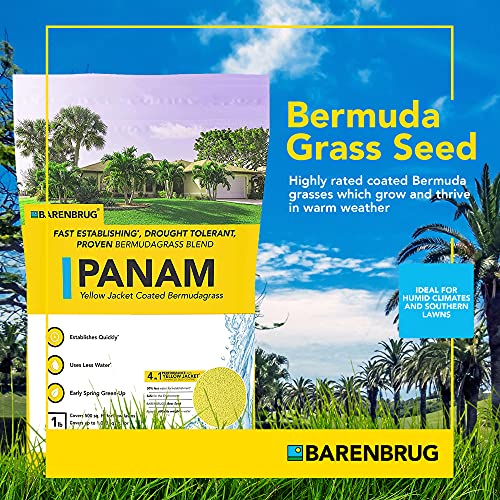 Bermudagrass Grass Seed for Sunny Areas and Humid Climates, 25 LB Bag X29095