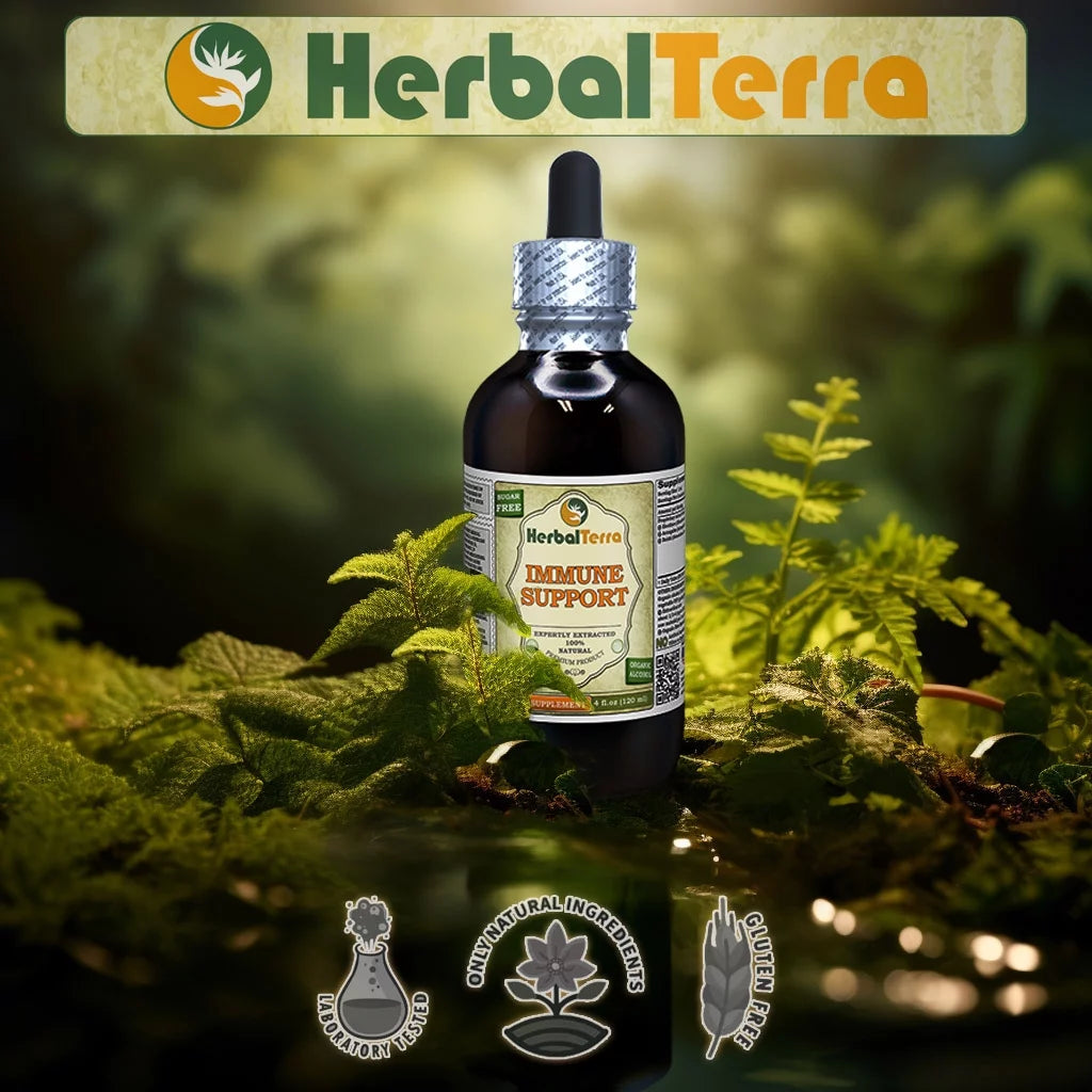 Organic Butcher's Broom Root Extract Tincture 4 Fl Oz W583