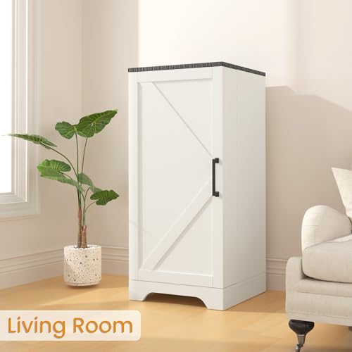 Farmhouse Pantry Cabinet with 6 Shelves and Barn Doors, Brown K34379