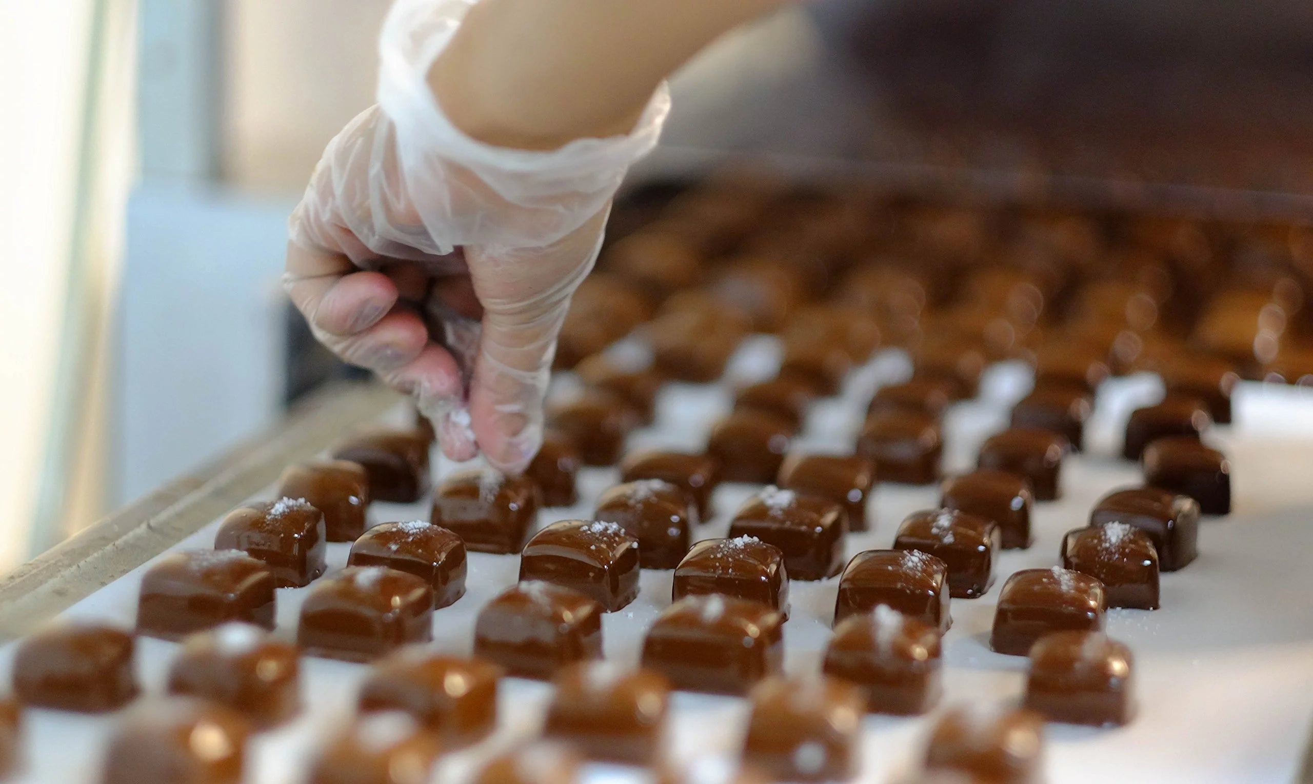 Coconut Milk Caramels, Vanilla, 15 Pack V340794