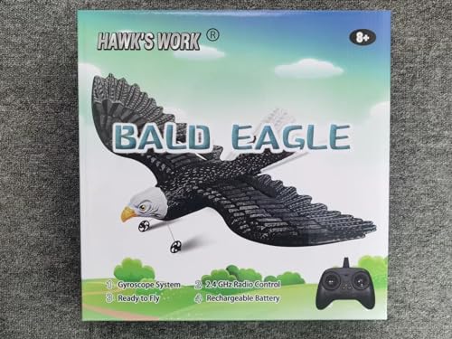 RC Eagle 2CH Remote Control Airplane for Kids & Beginners D1811