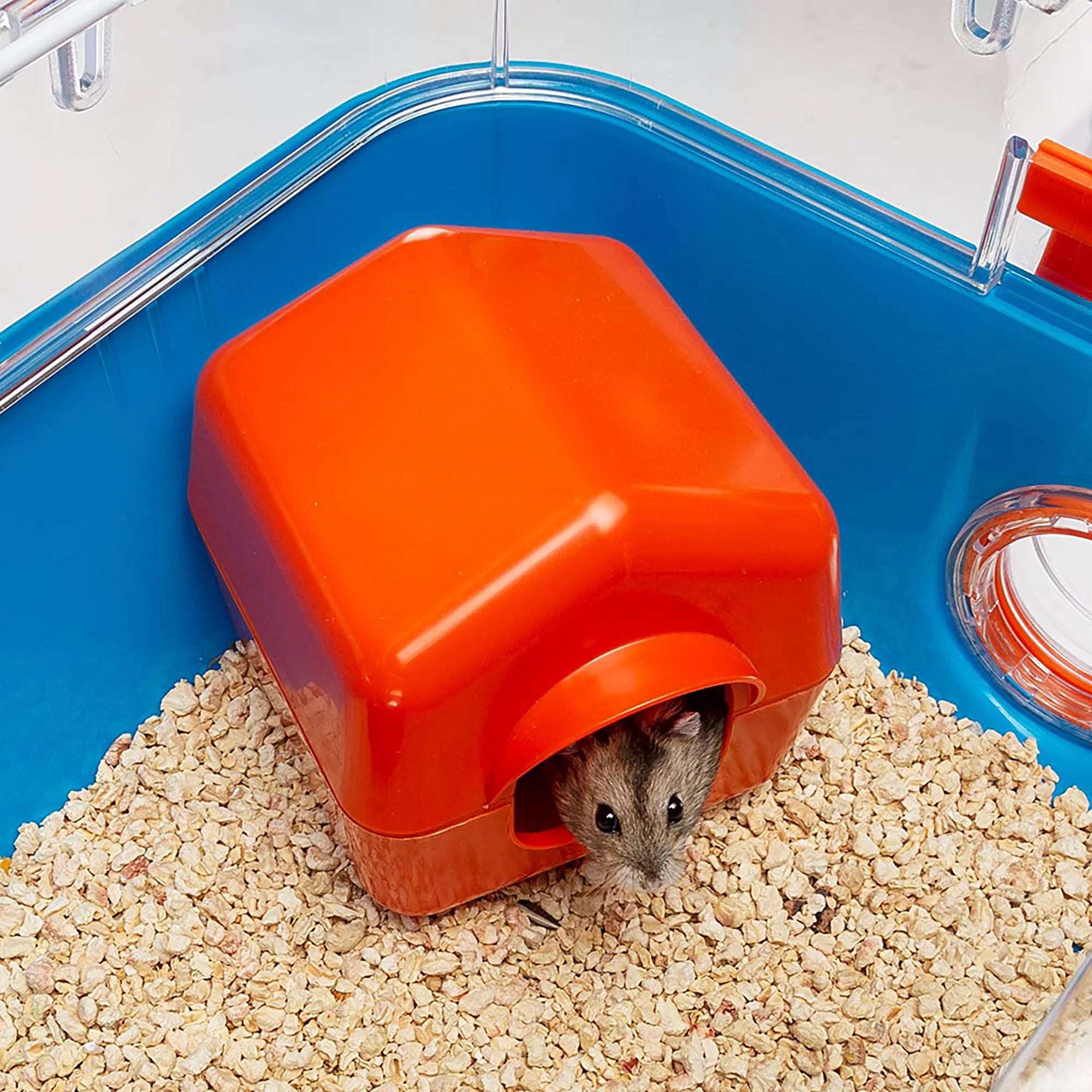 Hamster Cage with Accessories, Blue L693
