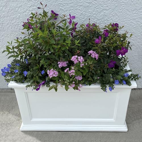 Rectangle Planter with Built-In Water Reservoir B876