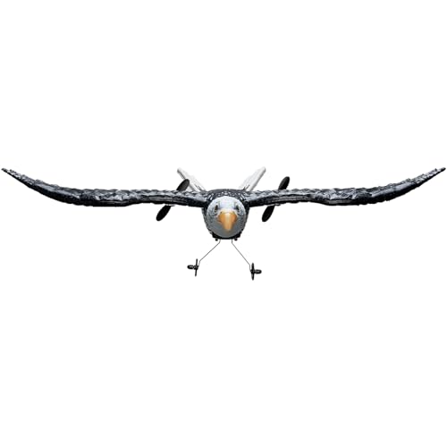 RC Airplane, 2.4GHz 2 Channel Remote Control Aircraft with 6-Axis Gyro, Red J366