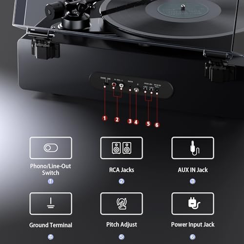 Record Player with Built-in Speakers, Belt Drive 2-Speed, Grey Y522