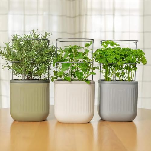 Indoor Mini Planter Pots with Trellis, Self-Watering for Herbs & Climbing Plants J477886