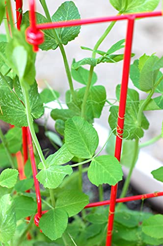Expandable Tall Pea Trellis for Climbing Plants, Steel Garden Support, 9'8" L x 37" H H309