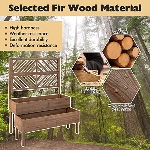 Raised Garden Bed with Trellis, 2-Tier Wooden Planter Box with Legs and Drain Holes F8672