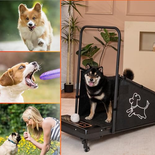 Dog Treadmill for Small and Medium Dogs with Remote Control and LCD Display H10038