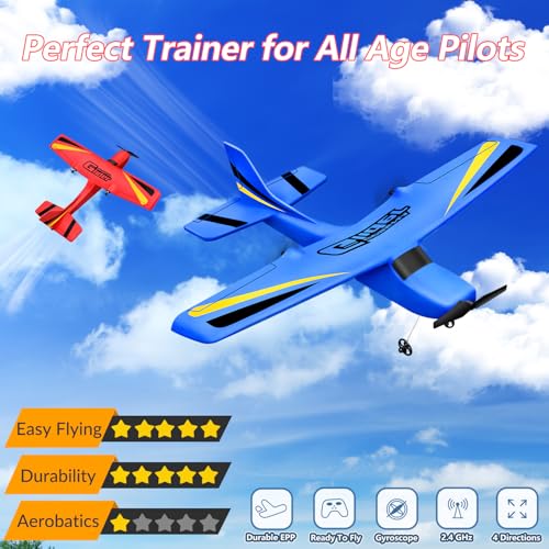 RC Airplane Ready to Fly, 2.4GHz Remote Control Glider for Kids W3947