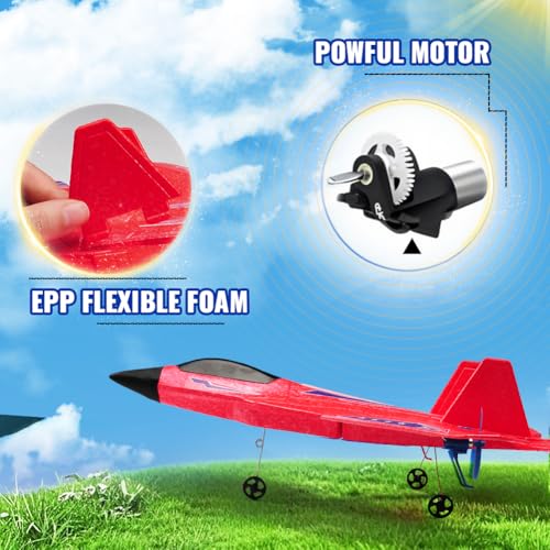 F22 RC Airplane Fighter, 2.4Ghz 2 Channel Remote Control Plane for Kids Beginners Y282