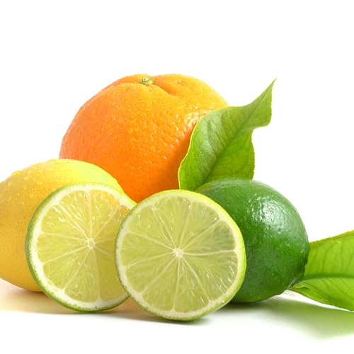 Fertilizer Spikes for Fruit and Citrus Plants and Trees, 6 Count M382