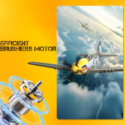 RC Plane 4 Channel Remote Control Fighter Airplane with 6-Axis Gyro, Easy to Fly for Beginners L2816