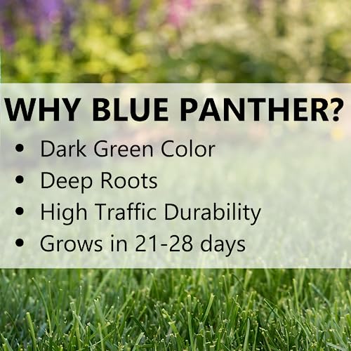 Blue Panther Kentucky Bluegrass Grass Seed - Cool Season Lawn Seed (25 lb) E69675