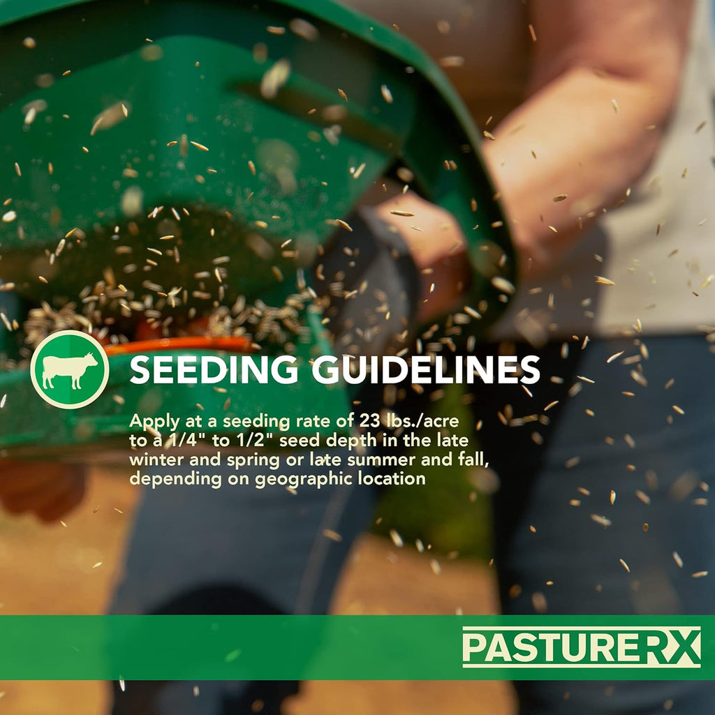 Pasture Grass and Forage Seed Mix, 23 lbs. I33857
