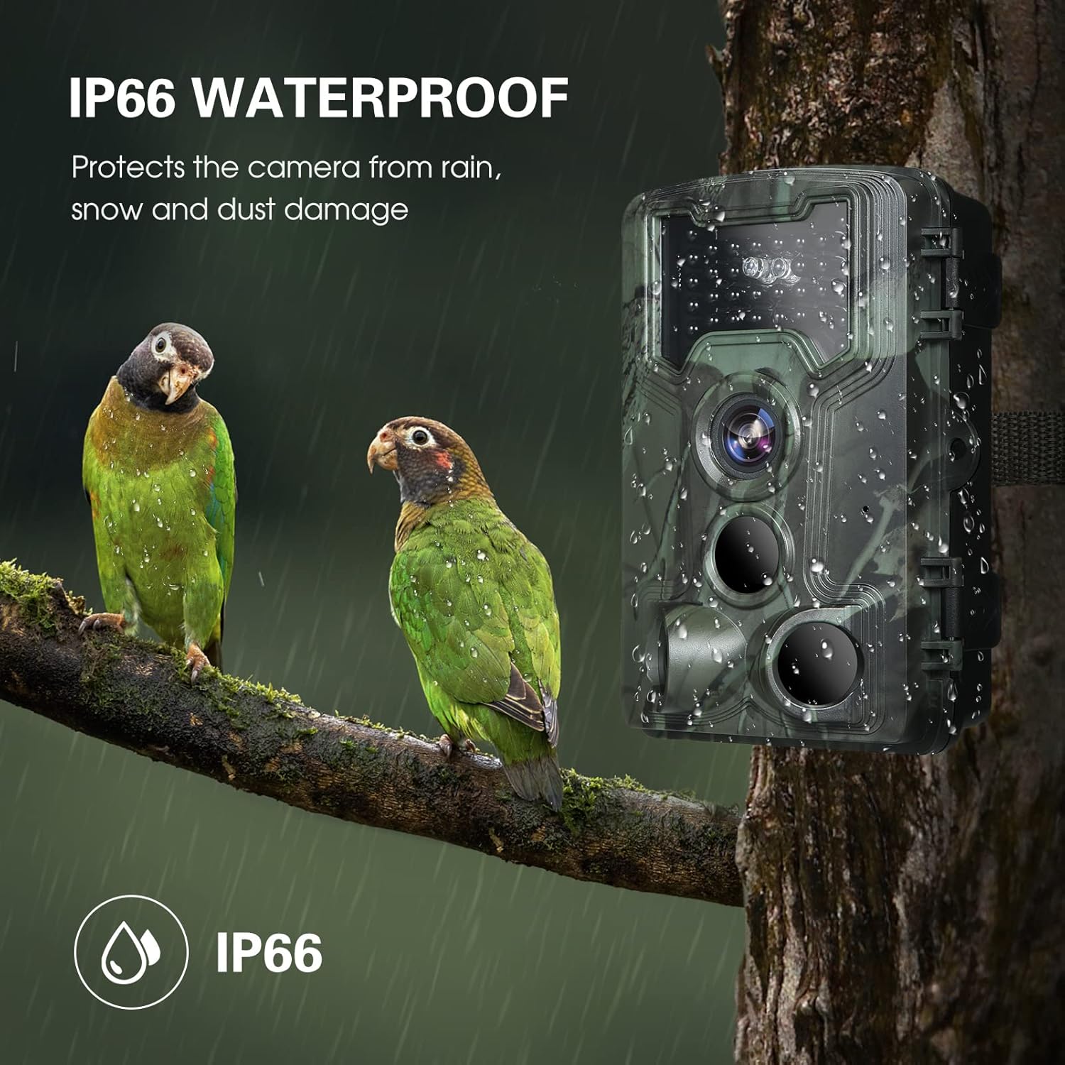 36MP 1080P Trail Camera with Night Vision and Motion Activation U53280