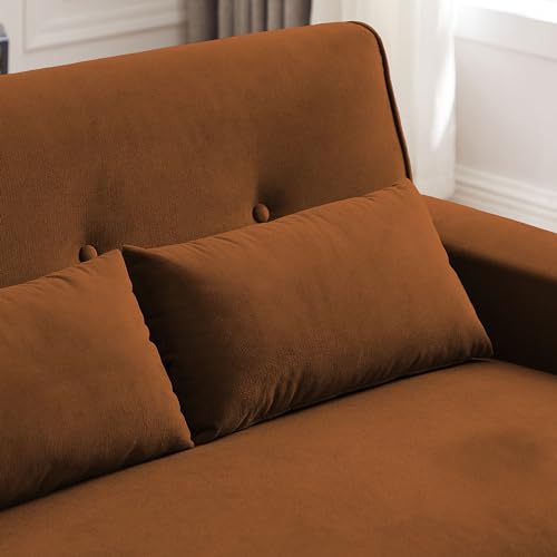 Mid Century Modern Loveseat Sofa with Wood Legs Z78752