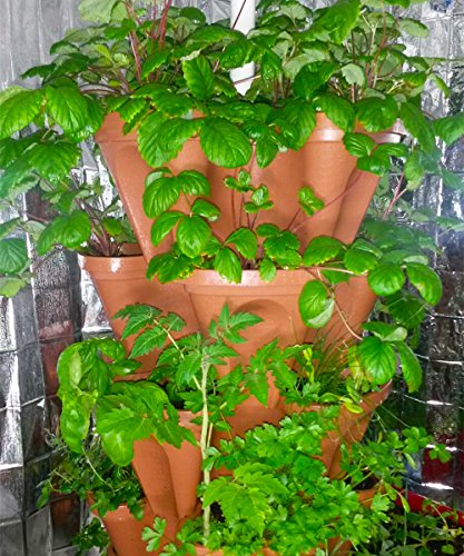 Stackable Vertical Planters for Strawberry, Tomato, Pepper Q22352