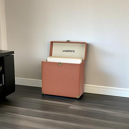 Retro Vinyl Record Storage Carrying Case, Holds 30 Albums Z153