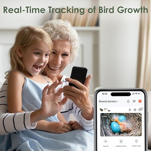 Solar Powered Bird House with HD Camera for Outdoor Viewing J875209
