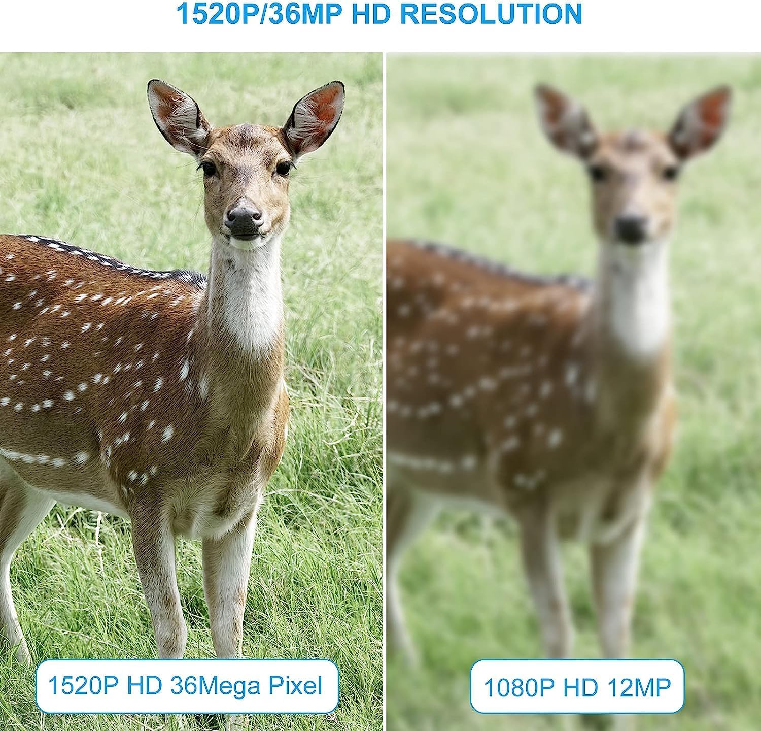Trail Camera with Night Vision, Motion Activated, Waterproof B4862