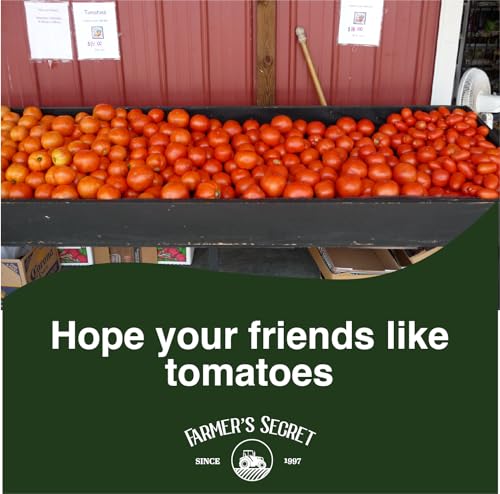 Tomato Booster Fertilizer (32oz) - Super Concentrated L24840