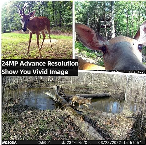 24MP 1080P Waterproof Trail Camera 2 Pack with Night Vision C411425