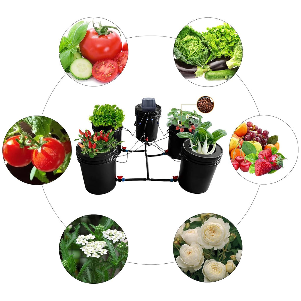 5-Gallon Deep Water Culture Hydroponics Grow System Kit with 5 Buckets C356