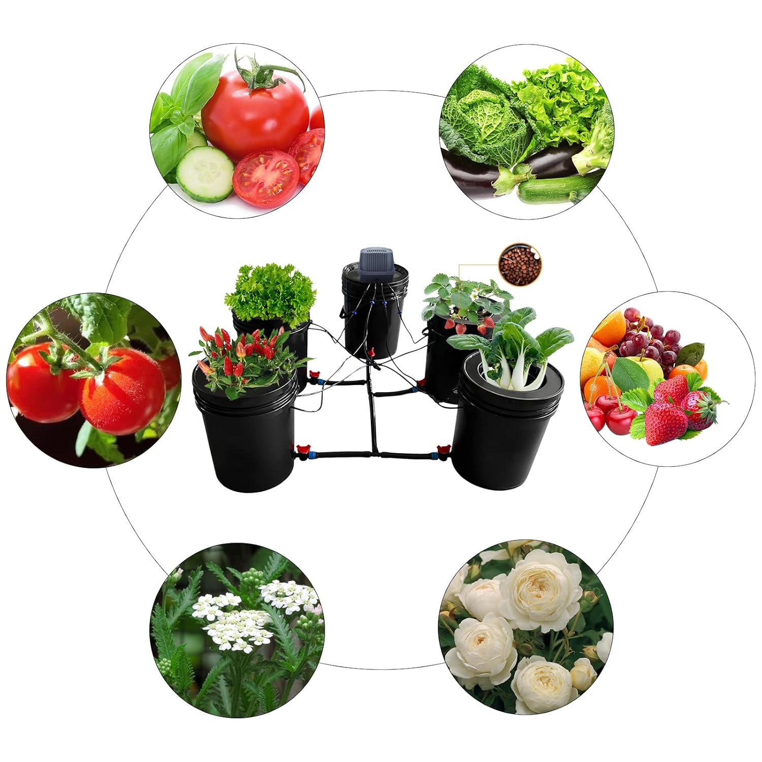 5-Gallon Deep Water Culture Hydroponics Grow System Kit with 5 Buckets C356