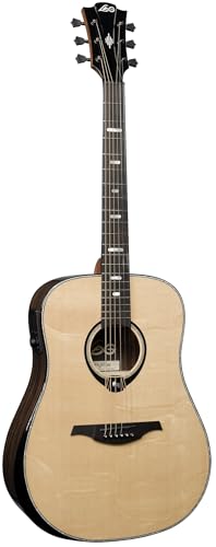 Dreadnought Bevel Gloss Acoustic Guitar F115