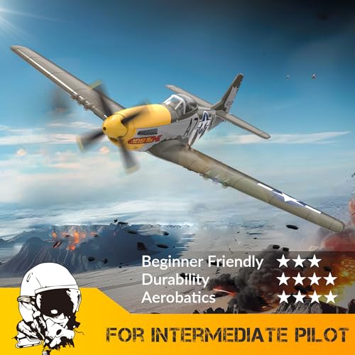 RC Plane 4 Channel Remote Control Fighter Airplane with 6-Axis Gyro, Easy to Fly for Beginners L2816