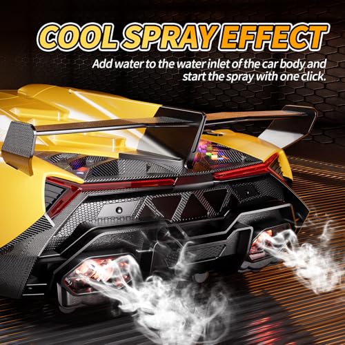 Transform RC Car with Gesture Sensing, Deformation Robot Toy for Kids U8510