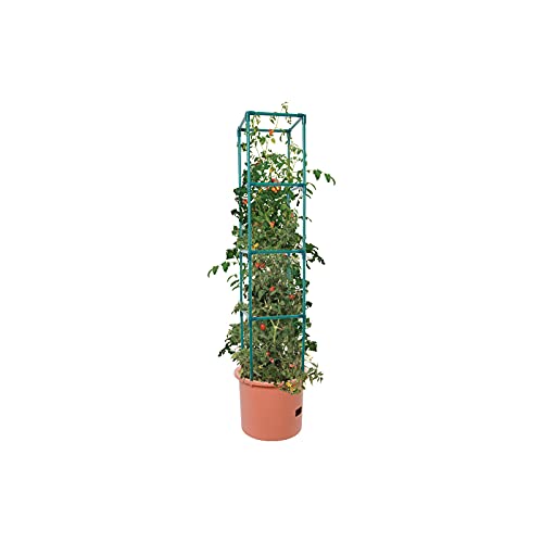 Heavy Duty Tomato Barrel with 4 ft Tower L689