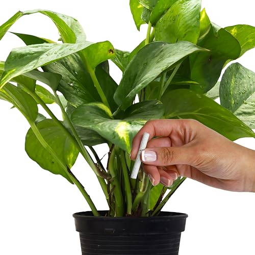 Plant Food Fertilizer Spikes for Indoor Flowering Houseplants, 50 Count U16722