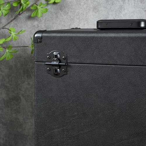 Vinyl Record Storage and Carrying Case, Holds 30 Albums H2930