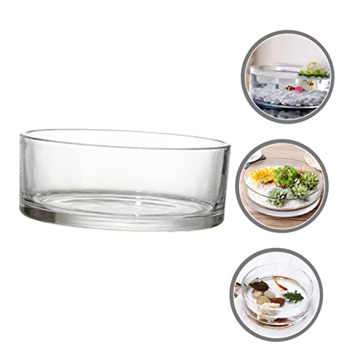 Glass Hydroponic Vase Terrarium Planter for Succulents and Fish Tank I270