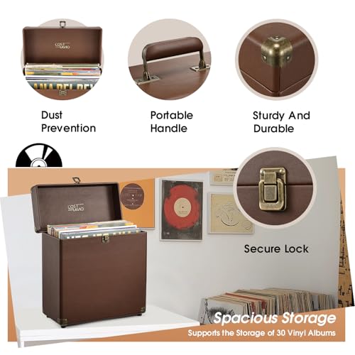 Vinyl Record Storage Box Holds 30 Albums T146