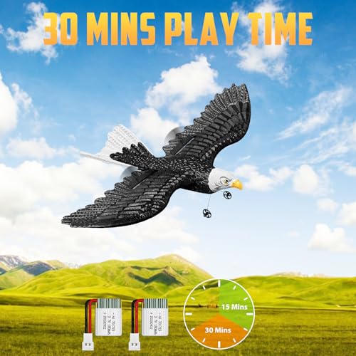 RC Eagle 2CH Remote Control Airplane for Kids & Beginners D1811