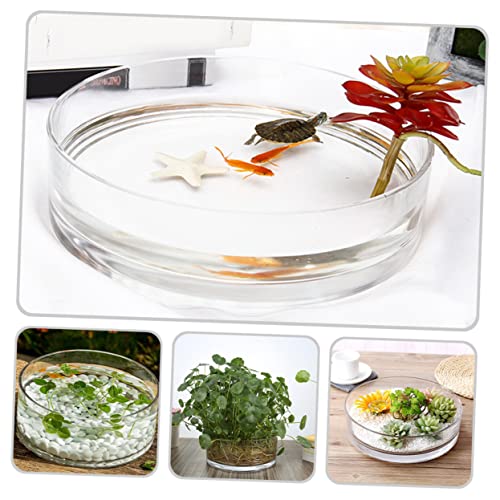 Glass Hydroponic Vase Terrarium Planter for Succulents and Fish Tank I270