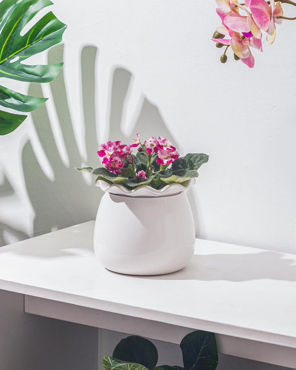 Self-Watering Ceramic Plant Pot for Indoor Plants B167