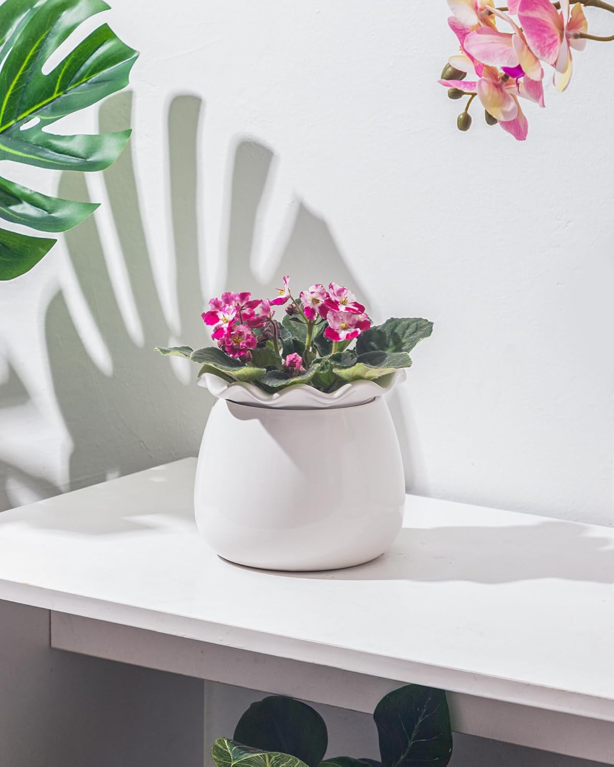 Self-Watering Ceramic Plant Pot for Indoor Plants B167