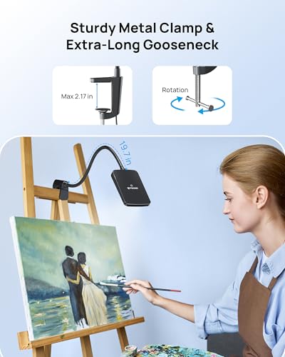 LED Desk Lamp with Clamp, Dimmable, Flexible Gooseneck V37343