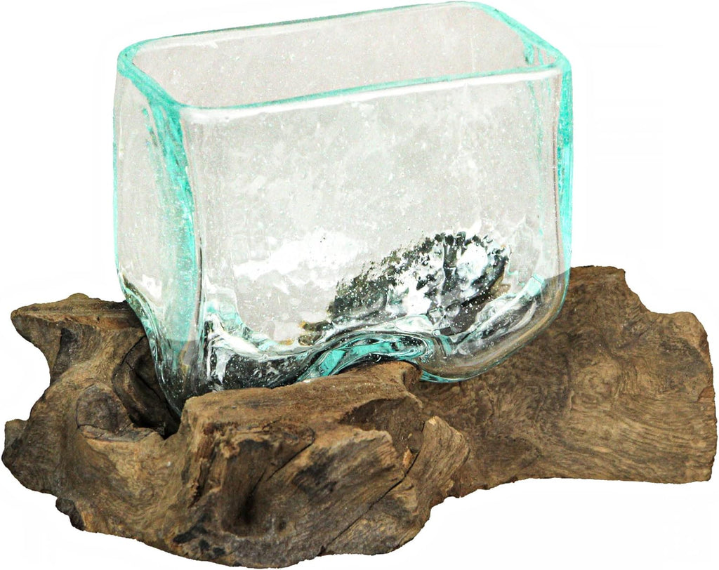 Glass Driftwood Decorative Bowl Vase Terrarium Planter Y130