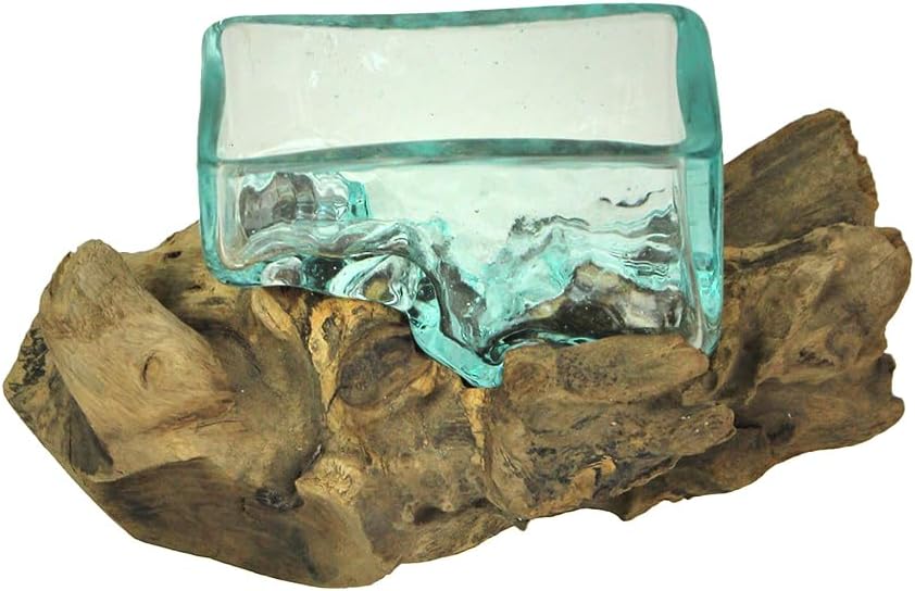 Glass Driftwood Decorative Bowl Vase Terrarium Planter Y130